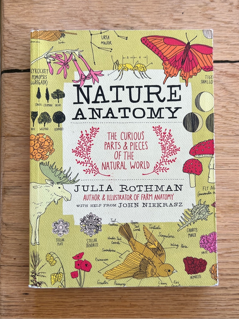 Julia Rothman Nature Anatomy Book
